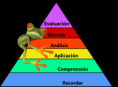 Taxonomía